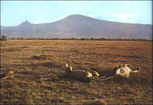 Jeux dans le cratre du Ngorongoro.
